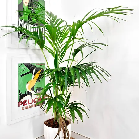 R64 - Cosy House In The Heart Of Апартаменты *