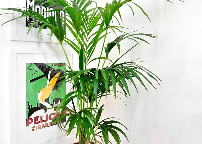 R64 - Cosy House In The Heart Of Appartement *